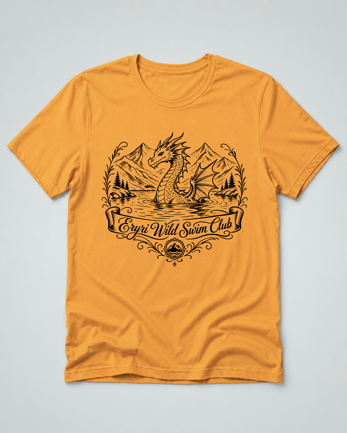 Eryri Wild Swim Club