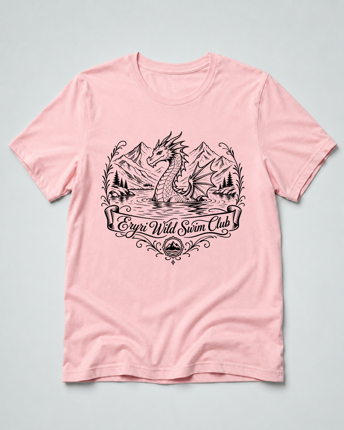 Eryri Wild Swim Club