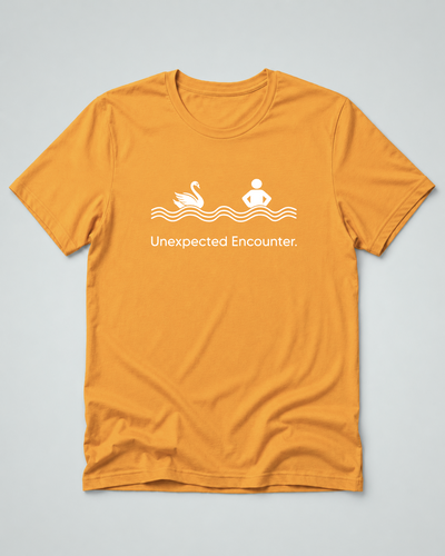 Unexpected Encounter Swimming Swan